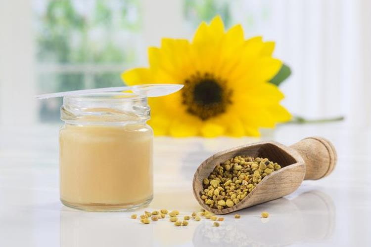 تصویر 1 از فروش استثنایی عسل ژل رویال اصل کوهی و خالص با طعم بی‌نظیر